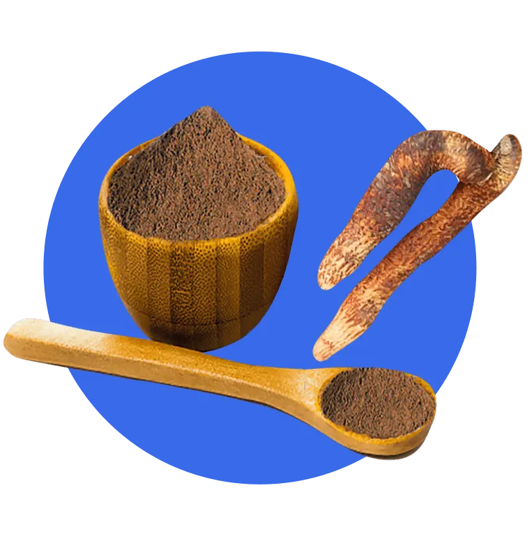 flaster sastojak